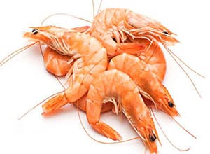 Crevettes fraiches