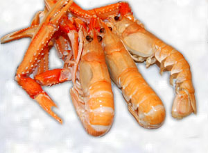 Langoustines